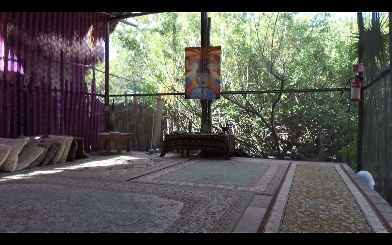 Luxury tent Cenote Encantado Tulum Eco-Glamping Camp Hotel